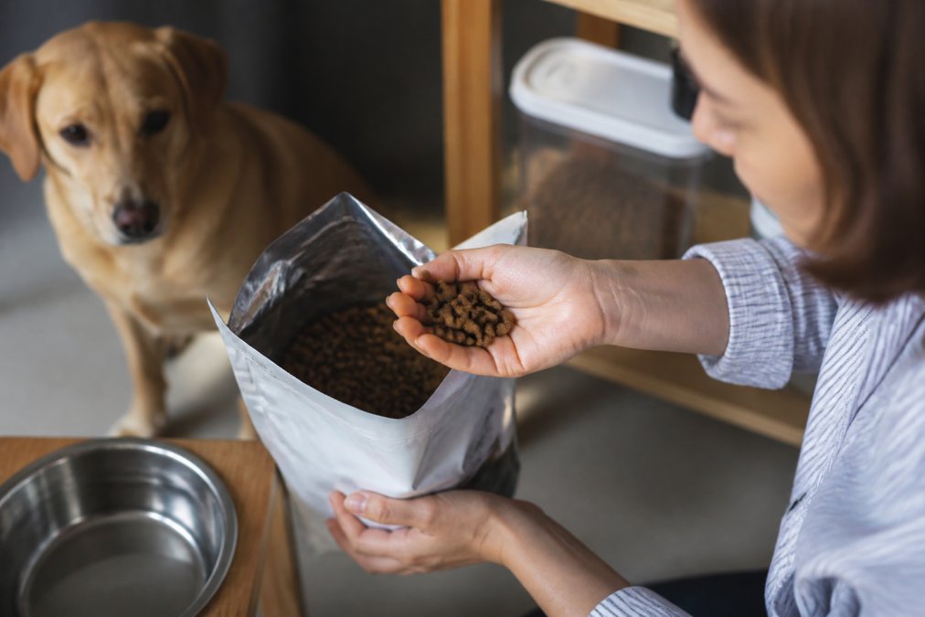 How to Tell if Pet Food Is Expired