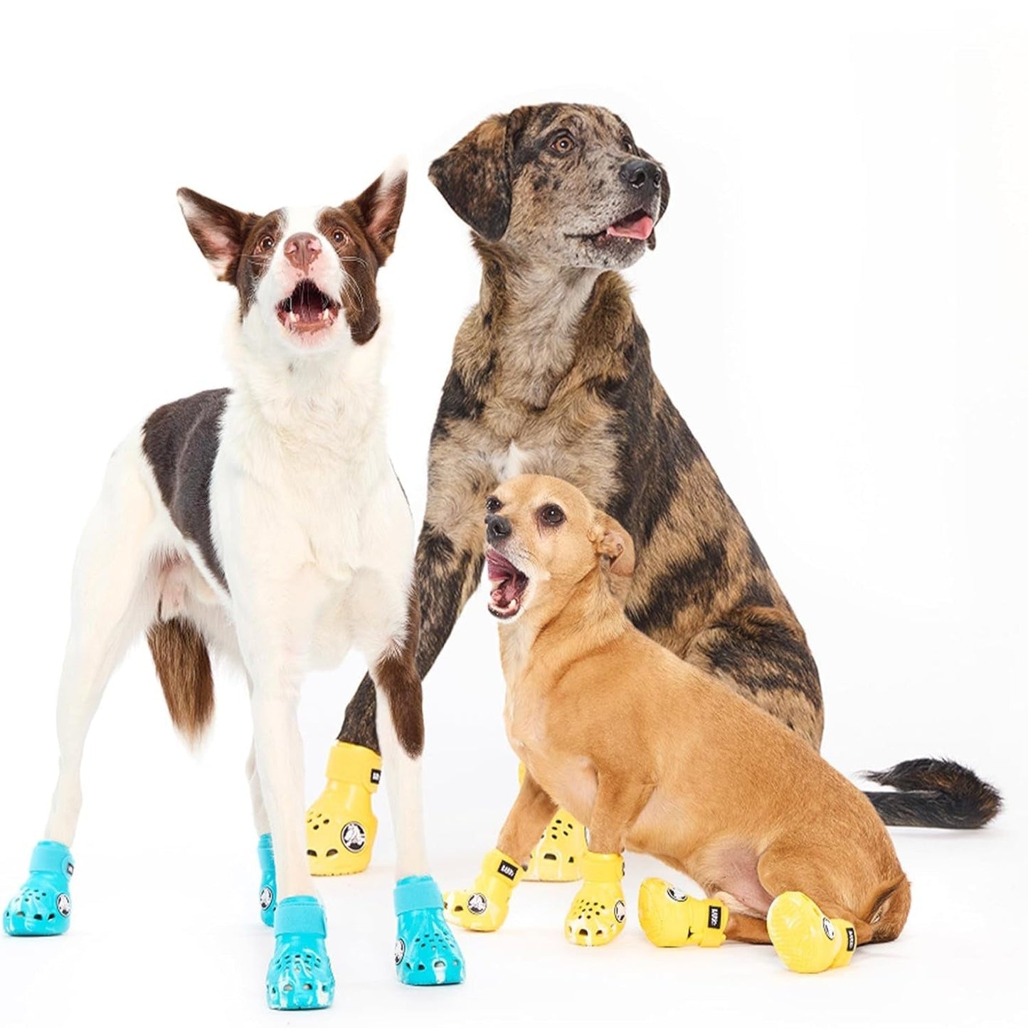 Aqua Crocs Dog Shoes – Set of 4 Glow-In-The-Dark Dog Booties with EVA Foam, Adjustable Strap & Non-Slip Sole – Comfortable Paw Protection for Small Breeds (15–25 Lbs)