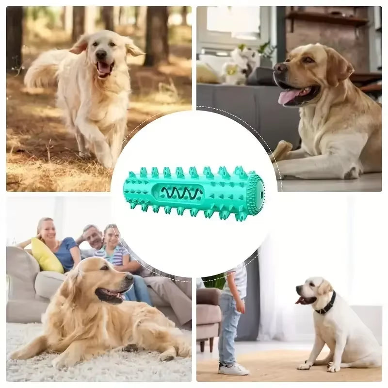 Vet-Approved Dental Chew Stick - 3-In-1 Cooling Toothbrush Toy for Small/Medium Dogs, Summer Teeth Cleaning & Gum Massage