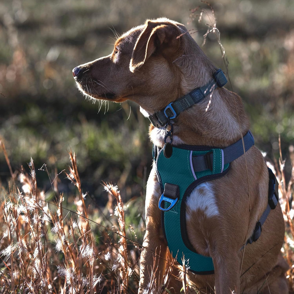 Embark Adventure Dog Harness, Easy on and off with Front and Back Leash Attachments & Control Handle - No Pull Training, Size Adjustable and Non Choke