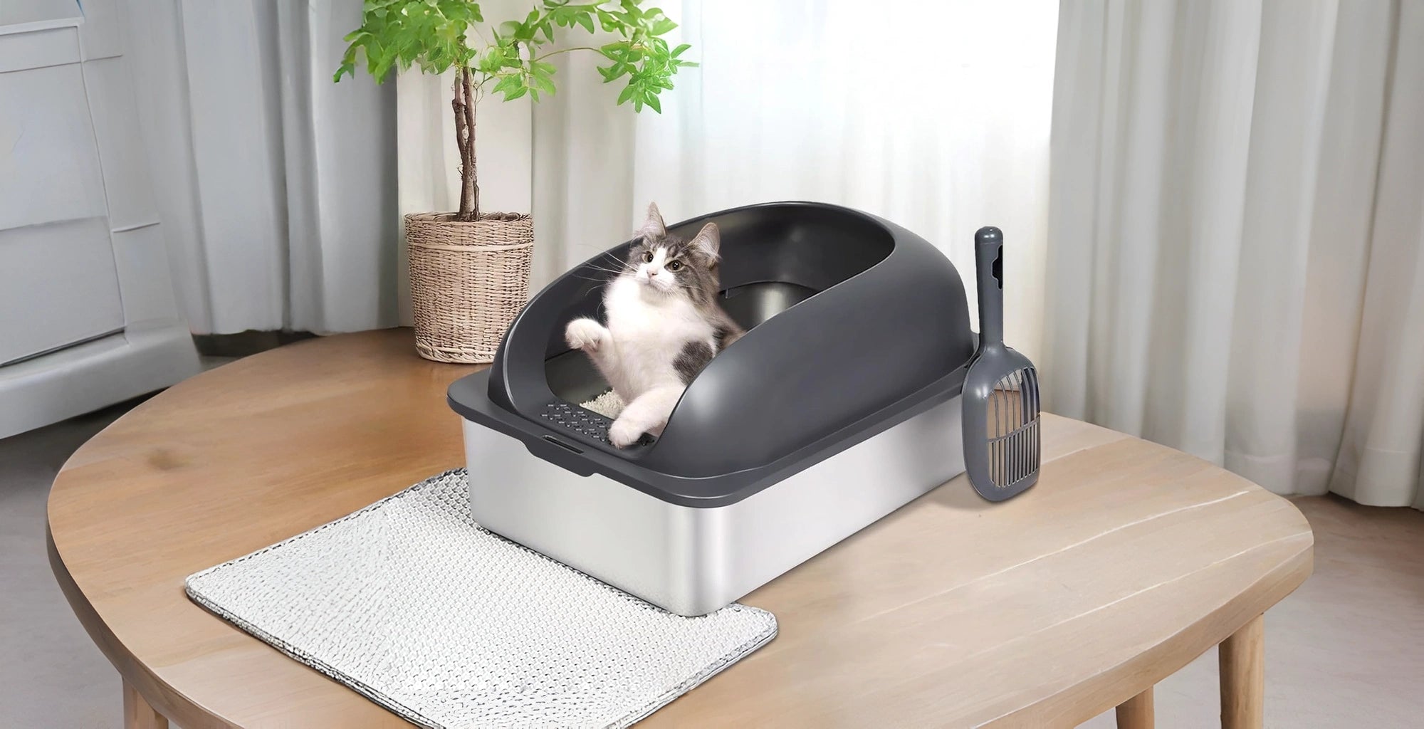Everything Your Pet Deserves