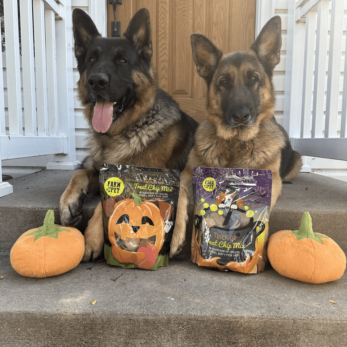 Treat Chip Mix Halloween Dog Treats