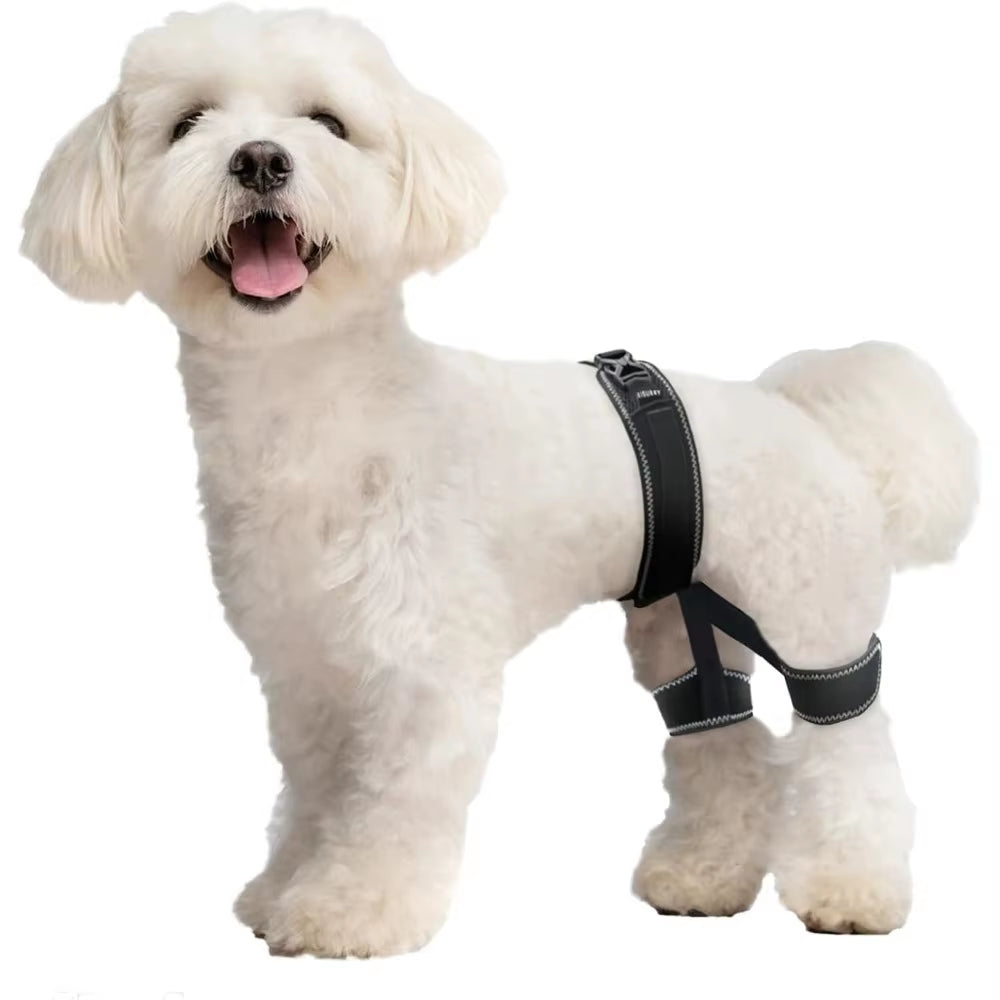 FlexiPaws Hip Brace – Comfort & Support for Stronger, Healthier Hips