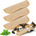 3Pcs Organic Catnip Pillows for Indoor Cats - 6000Mg A+ Catnip, Sisal Scratcher Mat, Durable Teething Toy for Aggressive Chewers,Boredom, Anxiety Relief (3Pcs Small)